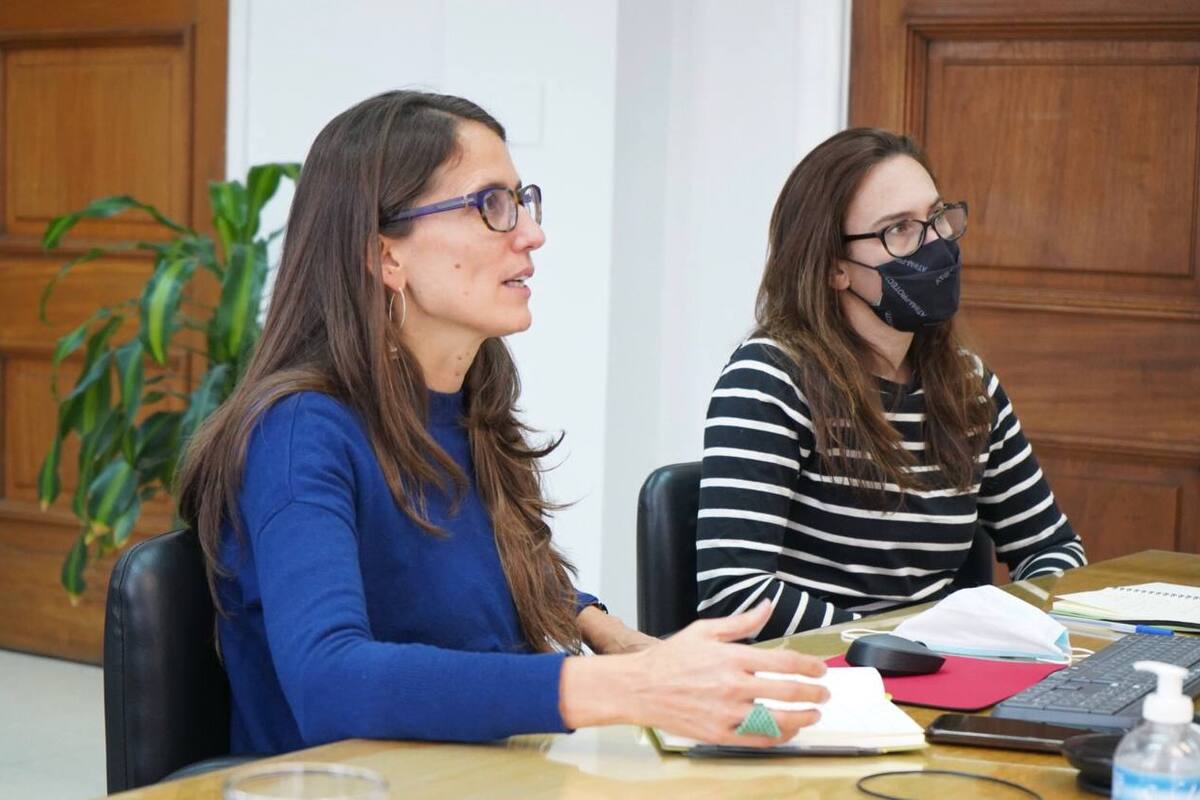 Gómez Alcorta en la reunión virtual con referentas de la Campaña del Aborto Legal.