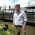 Así es el dramático operativo de los ganaderos de las islas entrerrianas donde nada puede fallar para salvar a las vacas