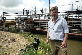 Así es el dramático operativo de los ganaderos de las islas entrerrianas donde nada puede fallar para salvar a las vacas