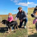 Se viene el Mundial de Perros Pastores y Vega viajó desde la Patagonia para una exigente prueba