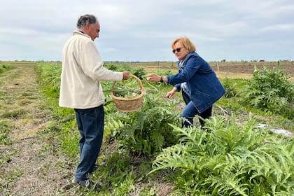 Gonzalo Villena en su cultivo junto a la reconocida Dolli Irigoyen.