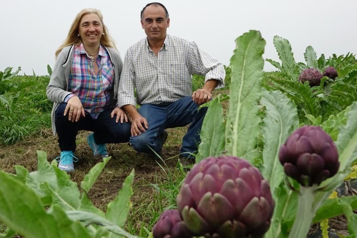 Gonzalo Villena: “Uno de los principales factores limitantes que tenemos es la mano de obra; no se consigue gente para trabajar, y mucho menos especializada"