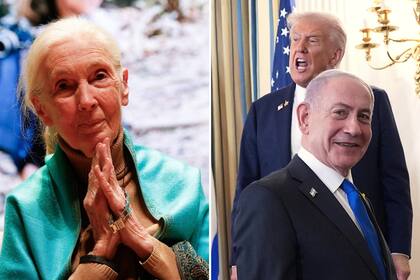 Goodall, Trump y Netanyahu