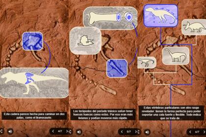 Google compartió imágenes explicativas sobre el dinosaurio Staurikosaurus (Foto: Google)