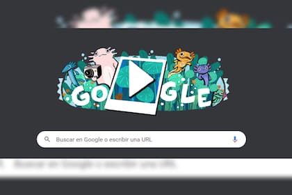 Google homenajea al lago de Xochimilco (Captura Google)