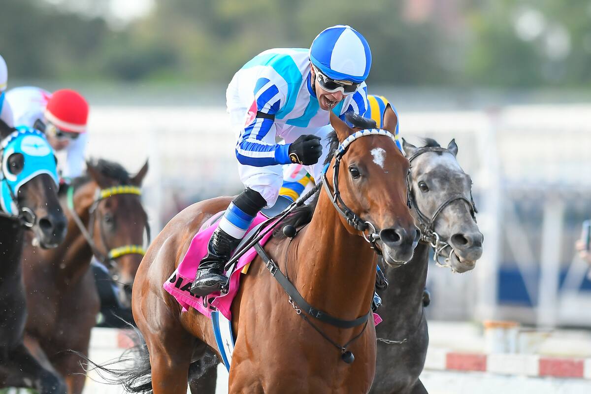 Gordianus, con Cristian Velázquez, se adjudicó el Gran Premio Nacional (G1), en Palermo