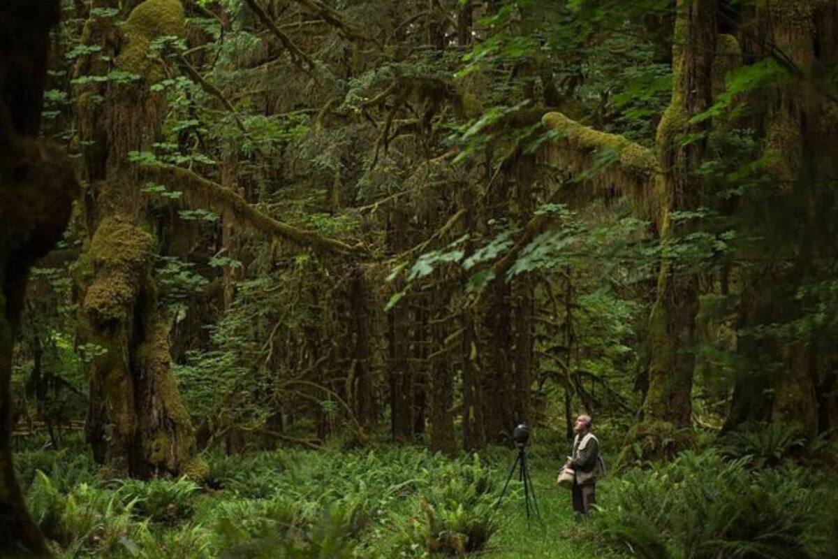 Gordon Hempton dio la vuelta al mundo tres veces buscando y documentando los paisajes sonoros naturales que desaparecen del planeta