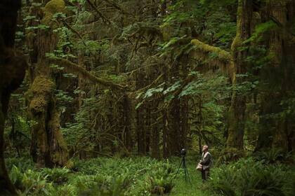 Gordon Hempton dio la vuelta al mundo tres veces buscando y documentando los paisajes sonoros naturales que desaparecen del planeta