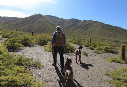Götz recorre su finca acompañado de sus perros.
