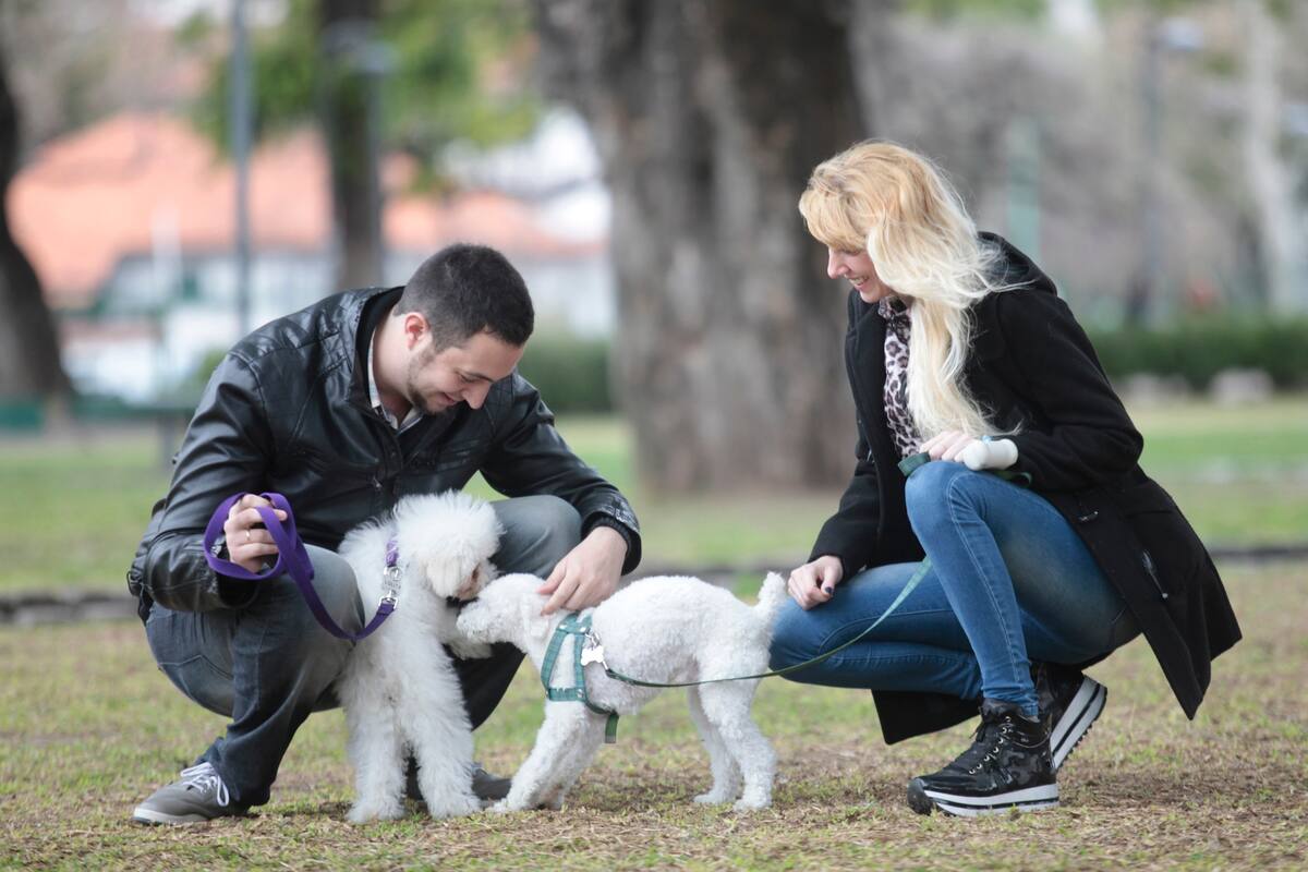 Gracias a la aplicación Paar Roman y Lolita se pudieron conocer y comenzar su romance