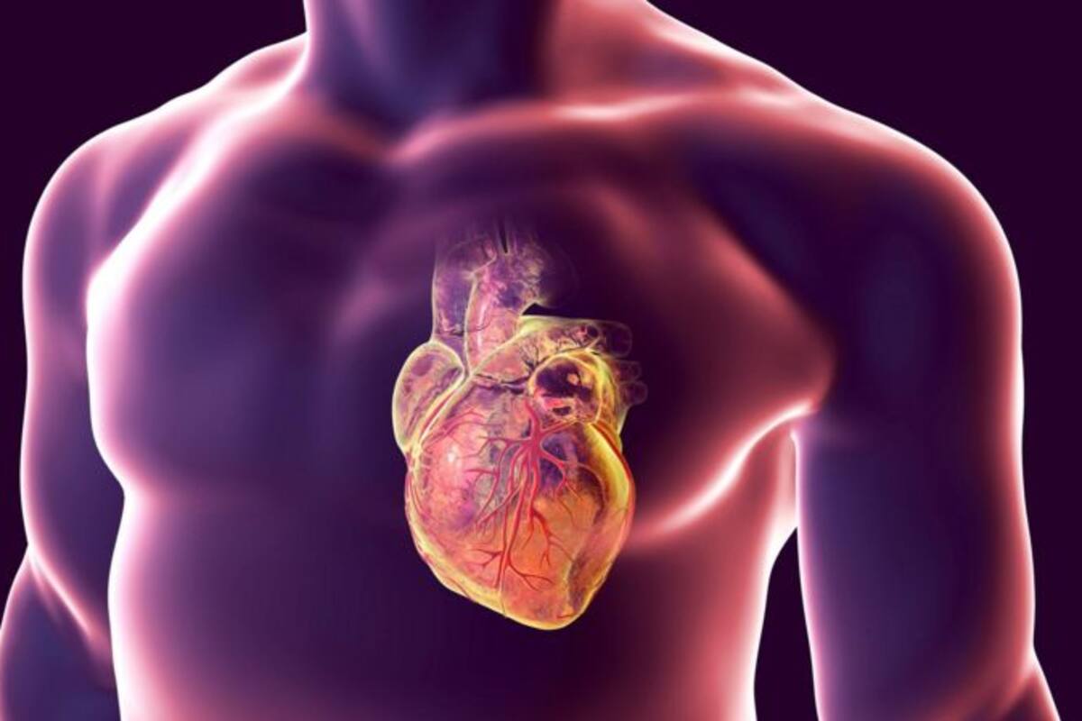 Gracias a la biología molecular avanzada, la genética y los macrodatos de muestras de sangre para analizar, los científicos pueden determinar que algunos de nosotros somos “envejecedores del corazón”