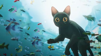 Gracias a la película Flow, habría aumentado el interés por adoptar gatos negros