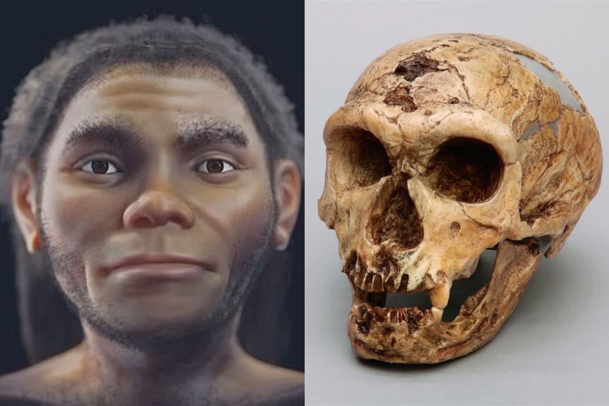 Gracias a un diseño 3D, los arqueólogos desmintieron una creencia de hace 100 años