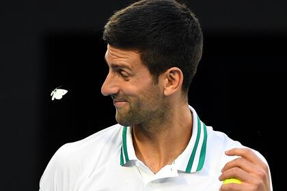 "Gracias por traerme suerte", escribió Novak Djokovic sobre la mariposa que lo sobrevoló: el serbio venció al ruso Aslan Karatsev y jugará su novena final en el Australian Open.