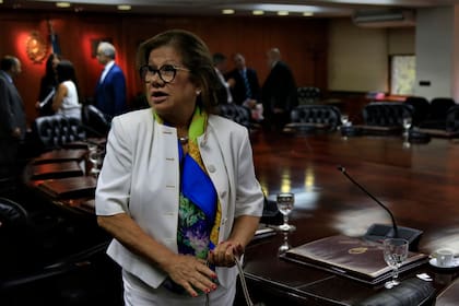 Graciela Camaño: “Había que pronunciarse, si no a la Anses no le decíamos nada".