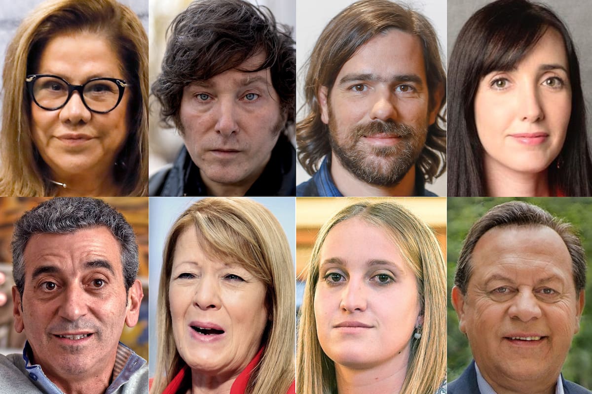 Graciela Camaño, Javier Milei, Nicolás del Caño, Victoria Villarruel, Florencio Randazzo, Margarita Stolbizer, María Victoria Tejeda, Gustavo Santos