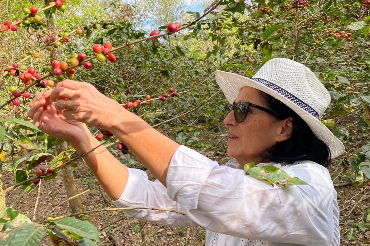 Graciela Ortiz, cafetalera de Salta