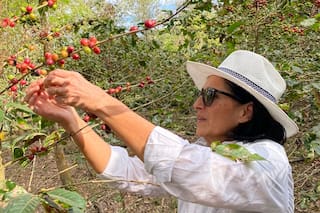 La historia de la emprendedora que revivió un lugar único del país y dio con una fórmula exitosa