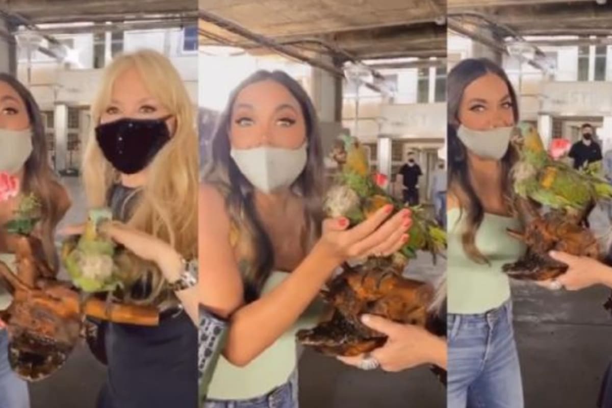 Graciela sorprendió en el estudio con el loro embalsamado y terminó siendo parte de una negociación