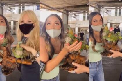 Graciela sorprendió en el estudio con el loro embalsamado y terminó siendo parte de una negociación