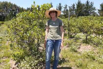 Graciela Taylor en sus plantaciones en los alrededores de La Criolla, en Entre Ríos