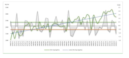 Gráfico 1. Evolución de los rendimientos de la soja en las últimas campañas con diferentes eventos climáticos