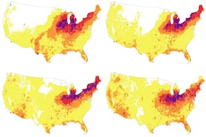 Gráfico de riesgo térmico para las poblaciones sensibles al calor (Foto: AP).