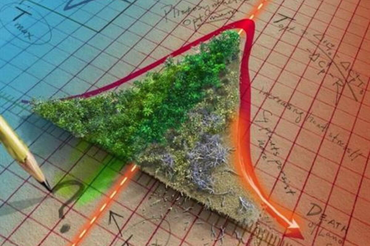 Gráfico ilustrativo del punto de inflexión en las temperaturas para la absorción por las plantas del CO2 de origen humano