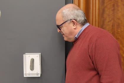 Graham Senior, un profesor de geografía británico, encontró la piedra mientras arreglaba un cantero de su jardín