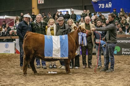 Gran Campeón Hembra Colorada