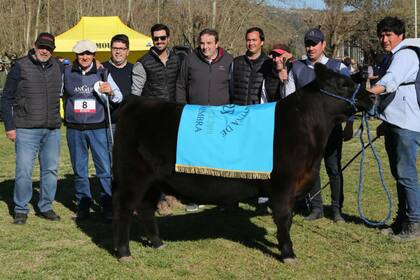Gran Campeón Hembra Ternera