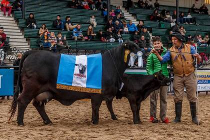 Gran Campeón Hembra Brangus, de La Sultana y Doña Anita