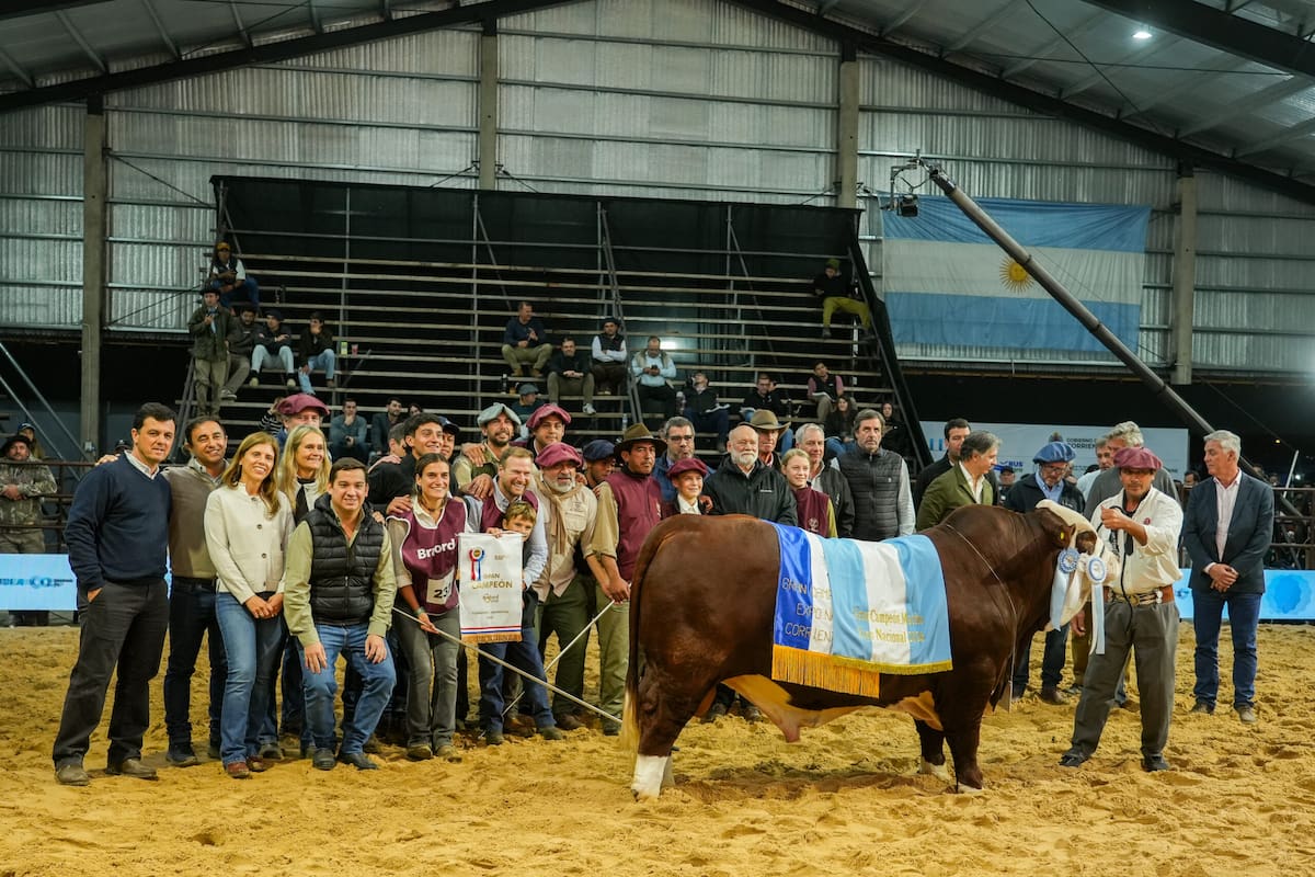 Gran Campeón Macho de la Cabaña El Amargo