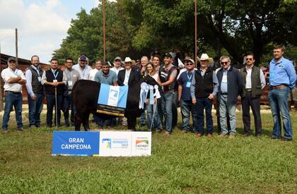 Gran Campeón Ternera Brangus