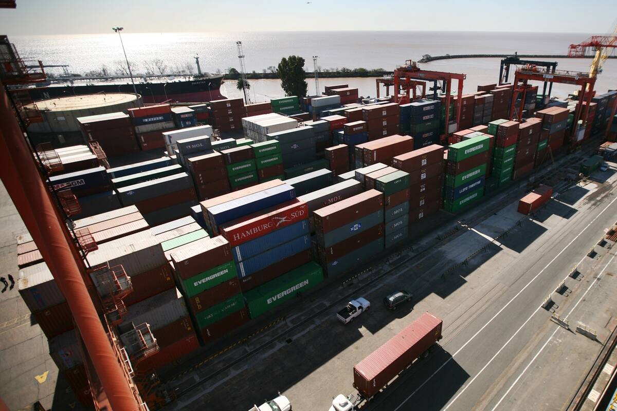 Gran cantidad de normativas nuevas para importar y exportar