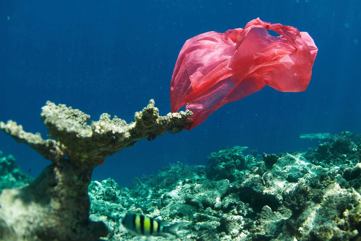 Gran parte de los residuos que se encuentran en el agua son de este material tan usado por los humanos; y el problema recién empieza ahí