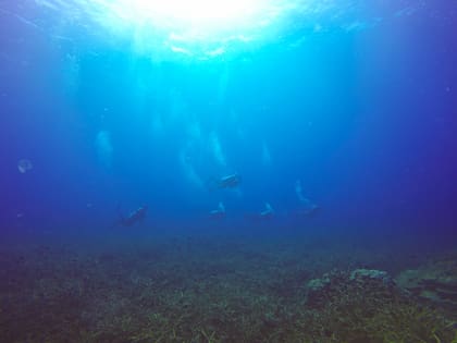Gran parte del océano aún sigue sin ser explorado por los científicos