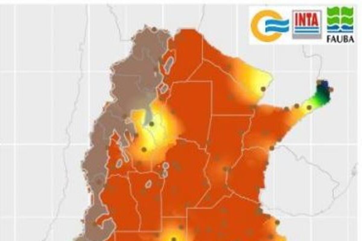 Gran parte del país, afectado por la falta de humedad en el suelo