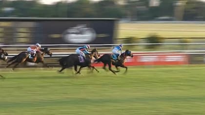 Gran Premio Carlos Pellegrini