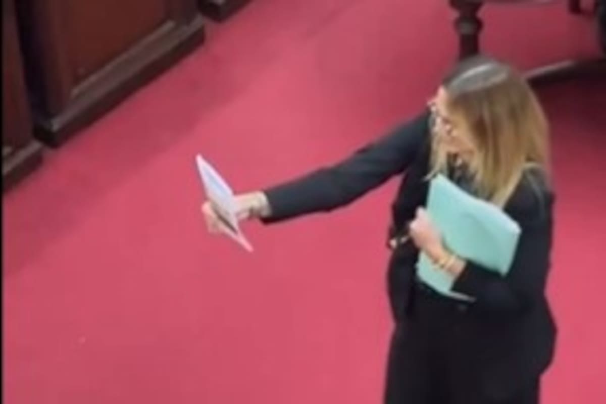 Granata muestra la Constitución provincial