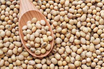 Grandes cerealeras brasileñas renuncian al pacto de conservación de la Amazonía