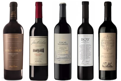 Grandes clásicos del Cabernet Franc Argentino