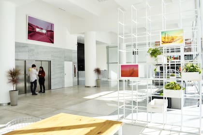 Grandes áreas de espacios comunes, la propuesta de Casa Campus, una de la empresas dedicadas al coliving, que ofrece alojamiento en Buenos Aires