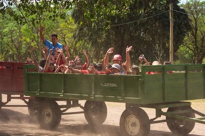Granja Don Mario