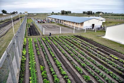 Granja penal en Gualeguaychú