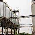 Mientras negocia una deuda de US$350 millones, Granja Tres Arroyos busca reabrir una planta en Entre Ríos