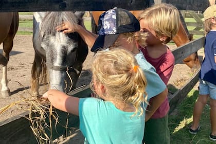 Granjas y complejos cerca de CABA para hacer un día de campo con la familia