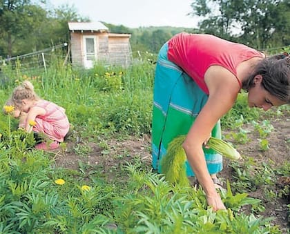 Usar ropa cómoda, protector solar y en lo posible, llevar una cesta, son las claves para aprovechar al máximo la actividad, pensada para toda la familia (Archivo)