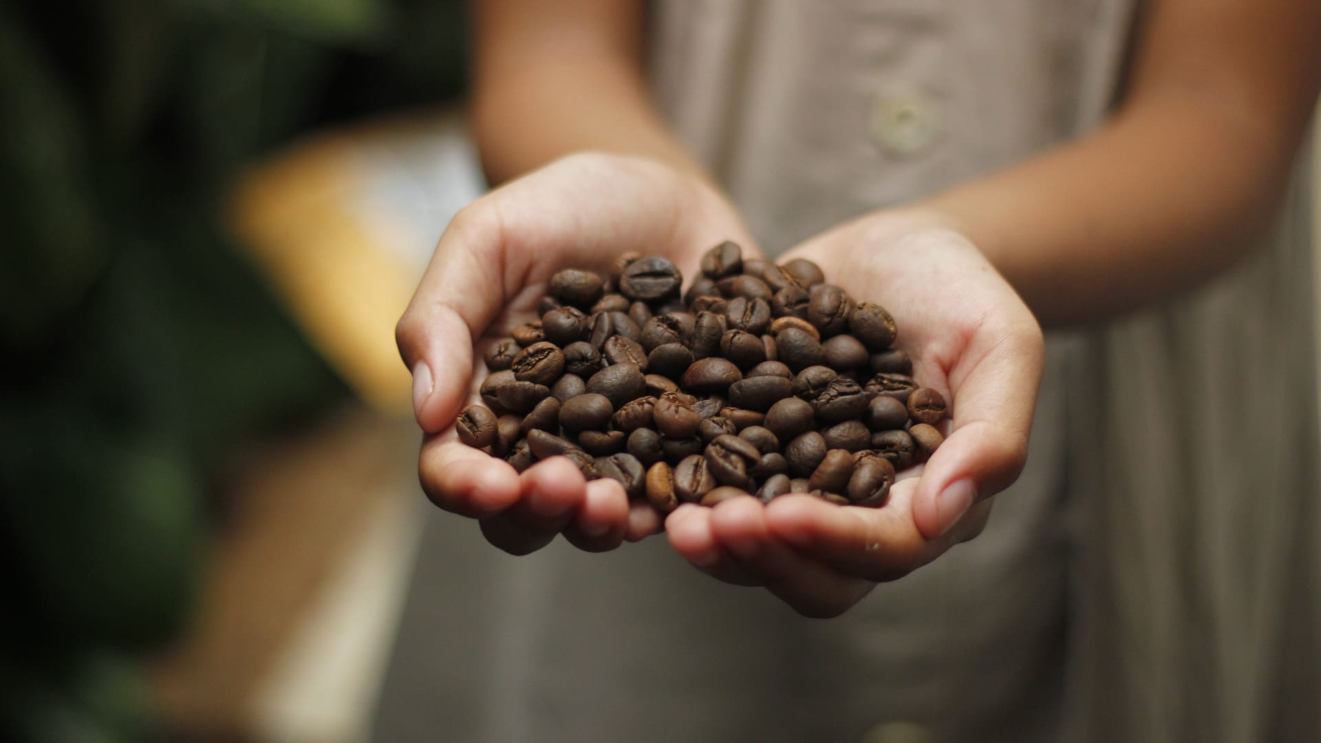 Granos de café.