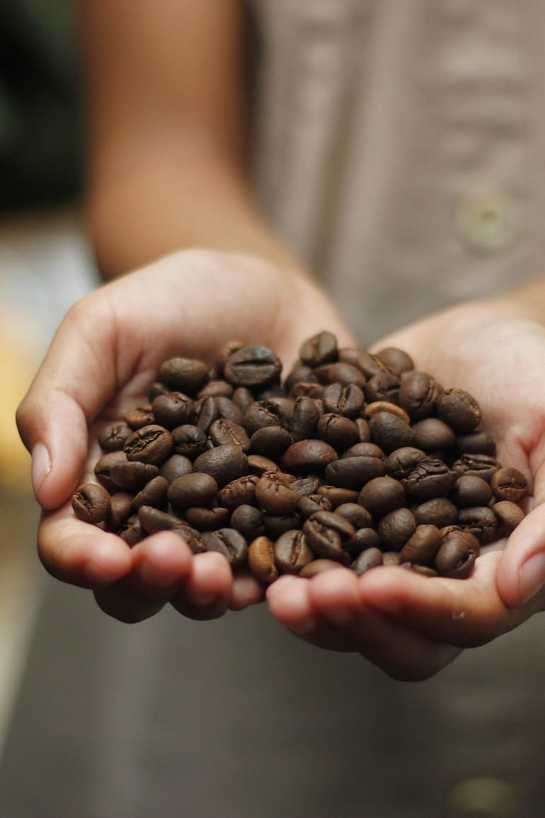 Granos de café.